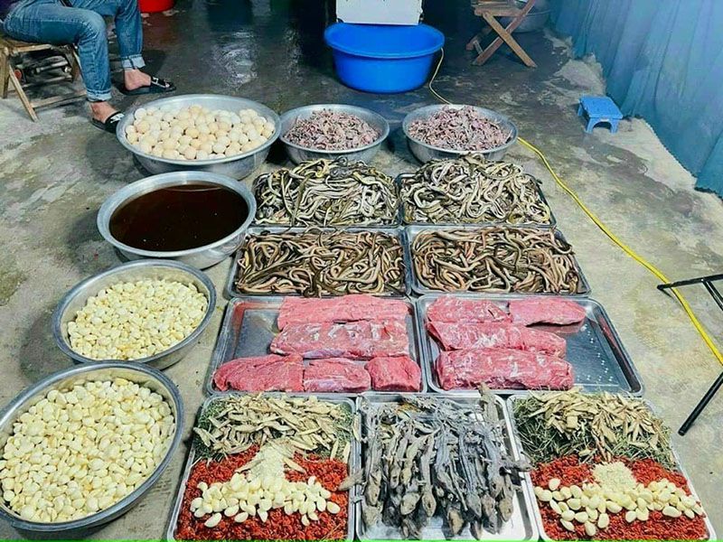 Thức ăn tổng hợp cho gà sau khi đá về